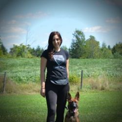 Shield k9 hot sale training